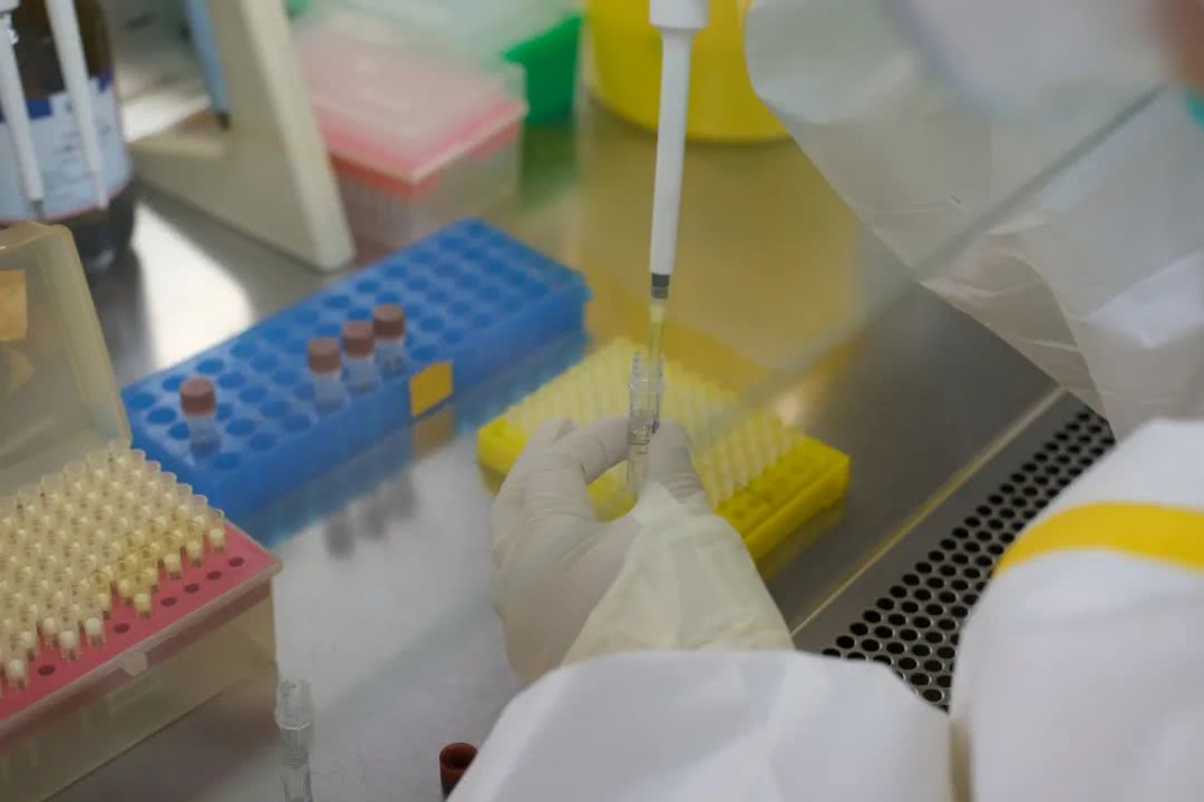 核酸檢測又降價！多地增設(shè)24小時檢測服務(wù)機構(gòu)